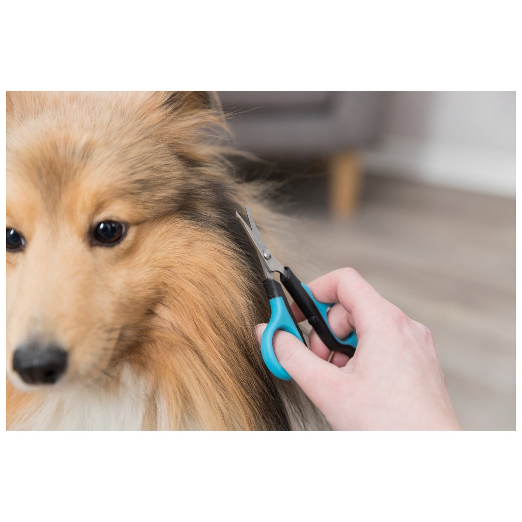 Ножиці для грумінгу Trixie Із закругленими кінцями 9.5 см (4011905023601)