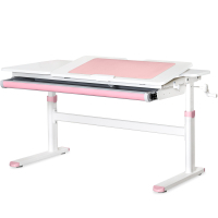 Desk Evo-kids Lite Pink (TH-360 WG/PN Lite)