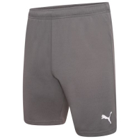 Shorts Puma teamRISE Short 704942-13 gray XL (4063699212075)