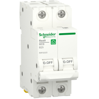 Automatic circuit breaker Schneider Electric RESI9 6kA 2P 25A (R9F02225)