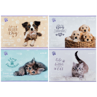Rachael Hale Kite Drawing Book, 12 Sheets (R25-241)
