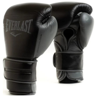 Боксерські рукавички Everlast Powerlock 2 Pro Training H&L Glove P00002428 чорний 16 унцій (009283609658)