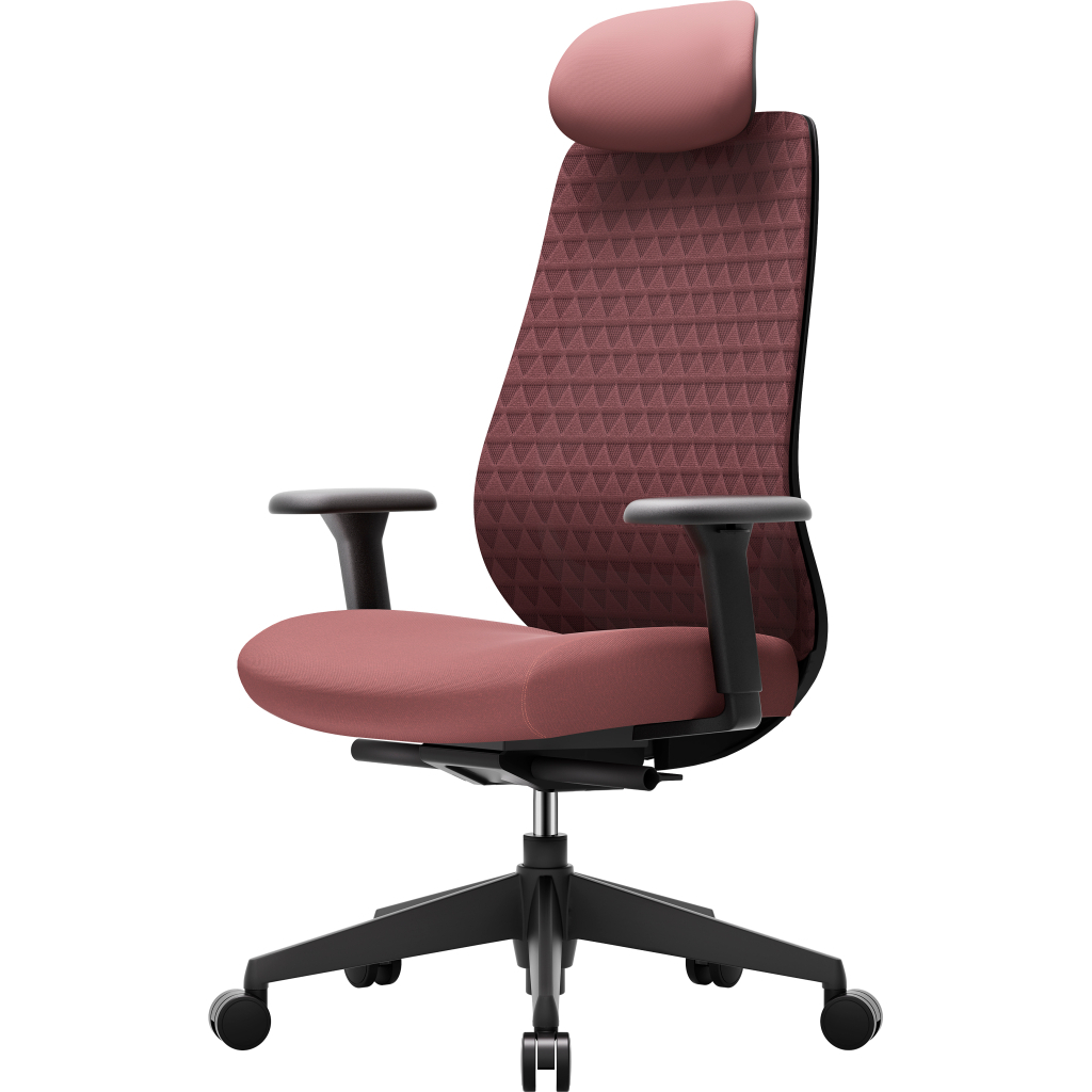 Офісне крісло OfficePro Omnis, OC640R (OC640R)