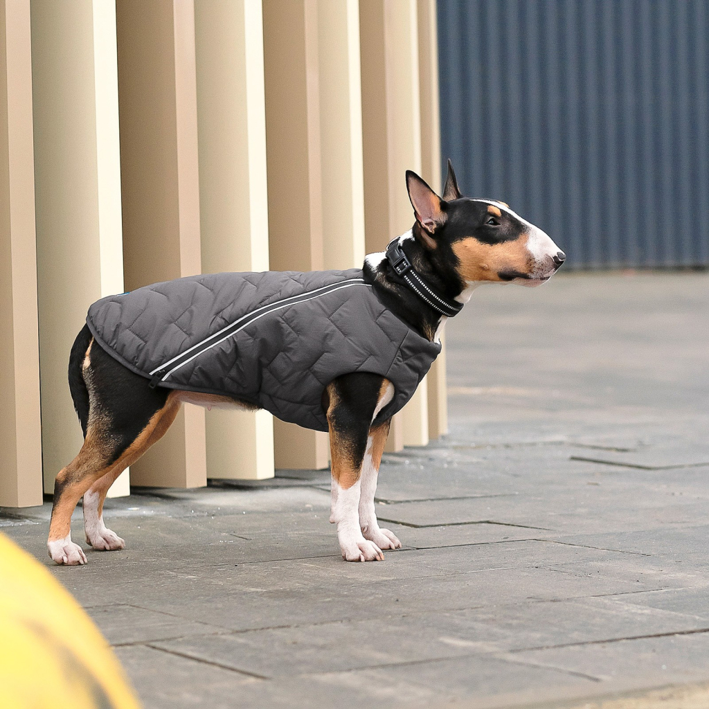 Жилет для тварин Pet Fashion "E.Vest" XS сірий (4823082424351)