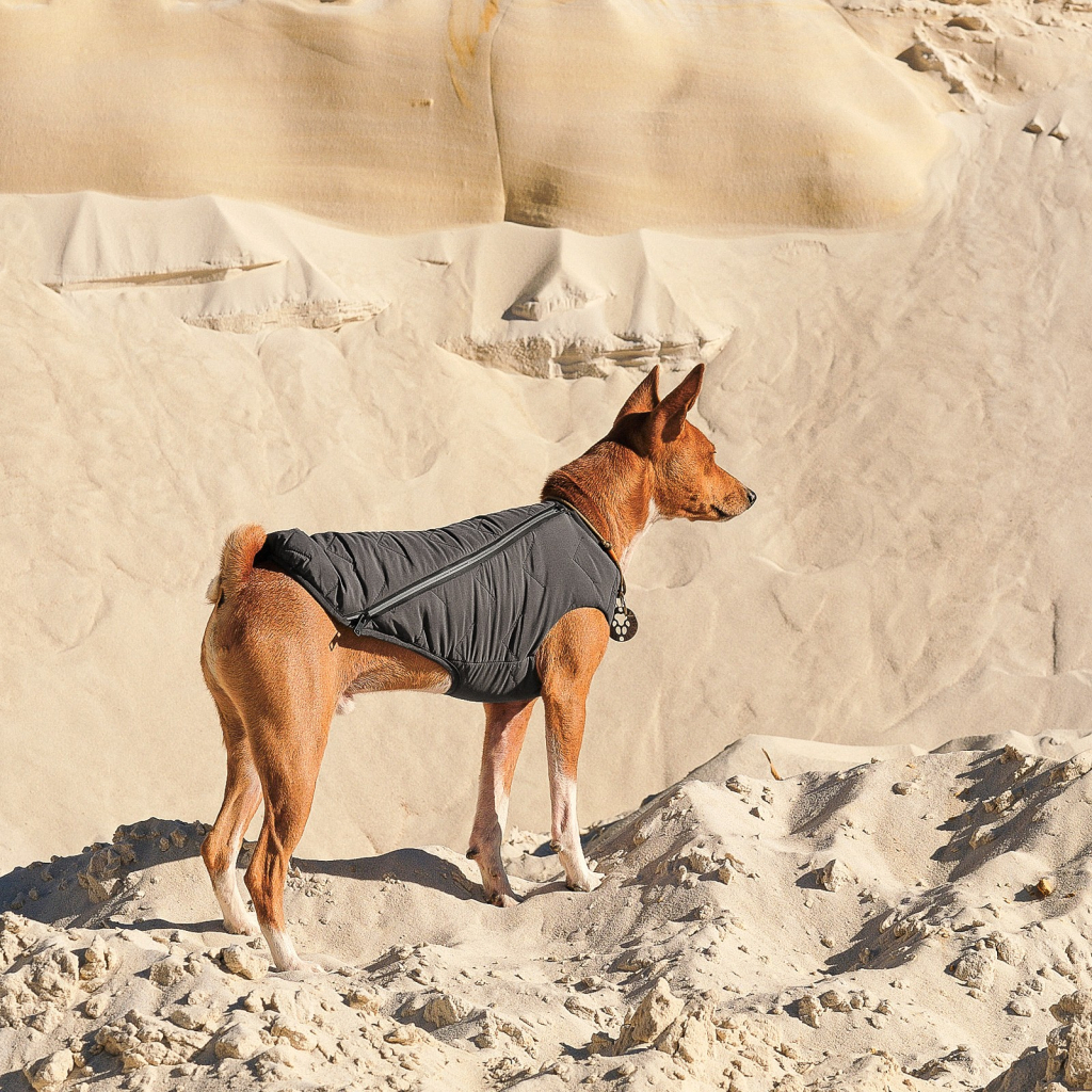 Жилет для тварин Pet Fashion "E.Vest" XS сірий (4823082424351)