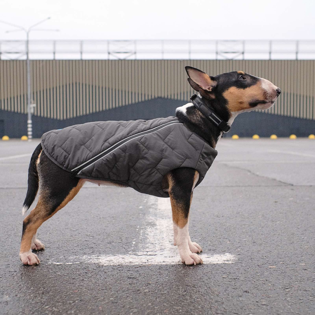 Жилет для тварин Pet Fashion "E.Vest" XS сірий (4823082424351)