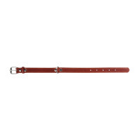 Collar for animals Collar single W 25 mm L 38-50 cm brown (02196)
