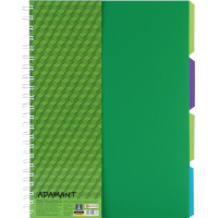 Notebook Optima A4 Adamant plastic cover, with dividers and perforation, 120 sheets, cell green (O20843-04)