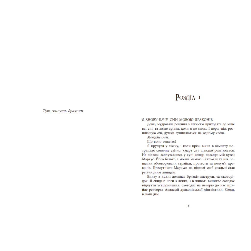 Книга Мова драконів - С.Ф. Вільямсон Readberry (9786170995261)