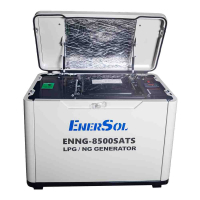 Enersol gas generator 8.5 kW, engine ES-459NG (ENNG-8500SATS)