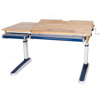 Парта Mealux Oxford Wood BL Lite (BD-920 Wood BL Lite)