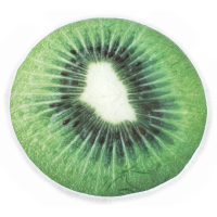 MirSon beach towel No. 5074 Summer Time Kiwi 150x150 cm (2200003947823)