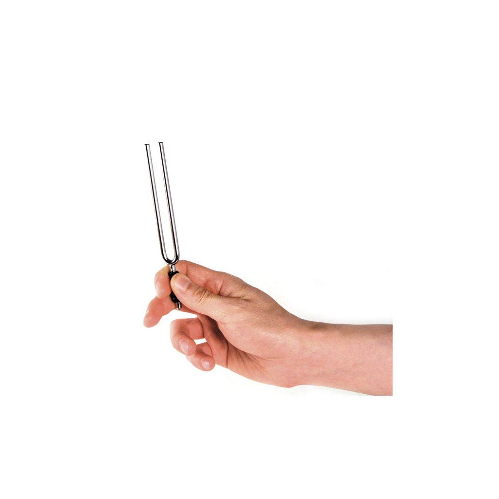 Камертон D'Addario Tuning Fork (E) (PWTF-E)