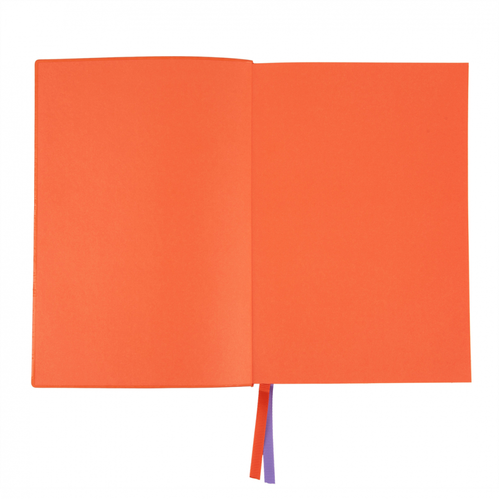 Тижневик Leo planner датований 2025 Rettangolo А5 368 сторінок (252588)