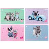 Kite Studio Pets Drawing Album, 12 Sheets (SP25-241)