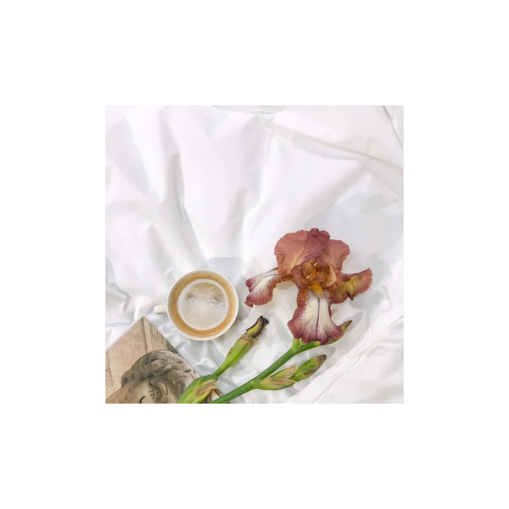 Постільна білизна Viluta ранфорс двоспальний Білий (rfrs_white_dv)