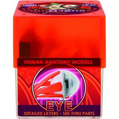 Набір для експериментів Professor Ein-O Око (E2370EE) Набір для експериментів Professor Ein-O Око (E2370EE)