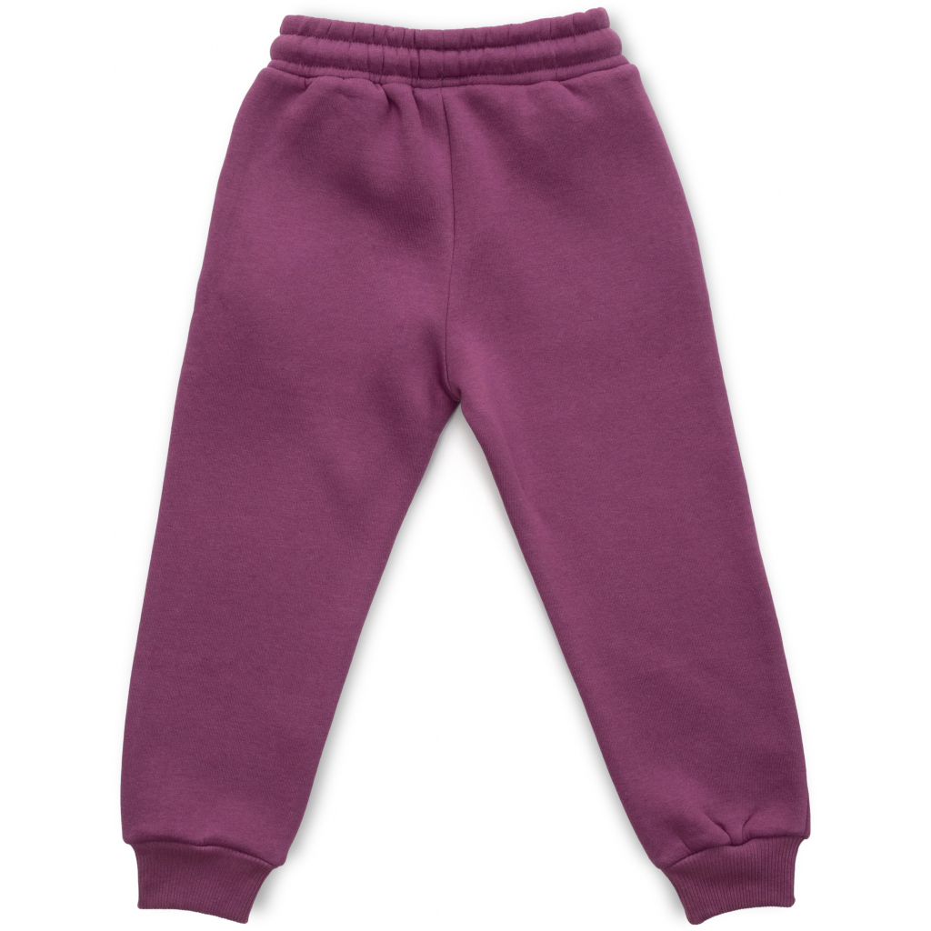 Штани дитячі Cloise спортивні на флісі (CL0154012-152G-purple)