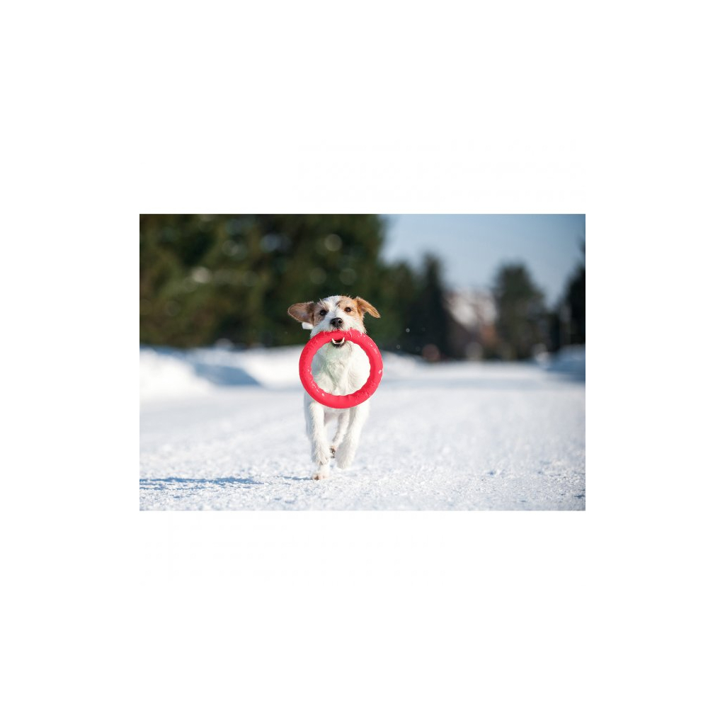 Іграшка для собак Collar PitchDog Кільце для апортування 17 см рожеве (62367)