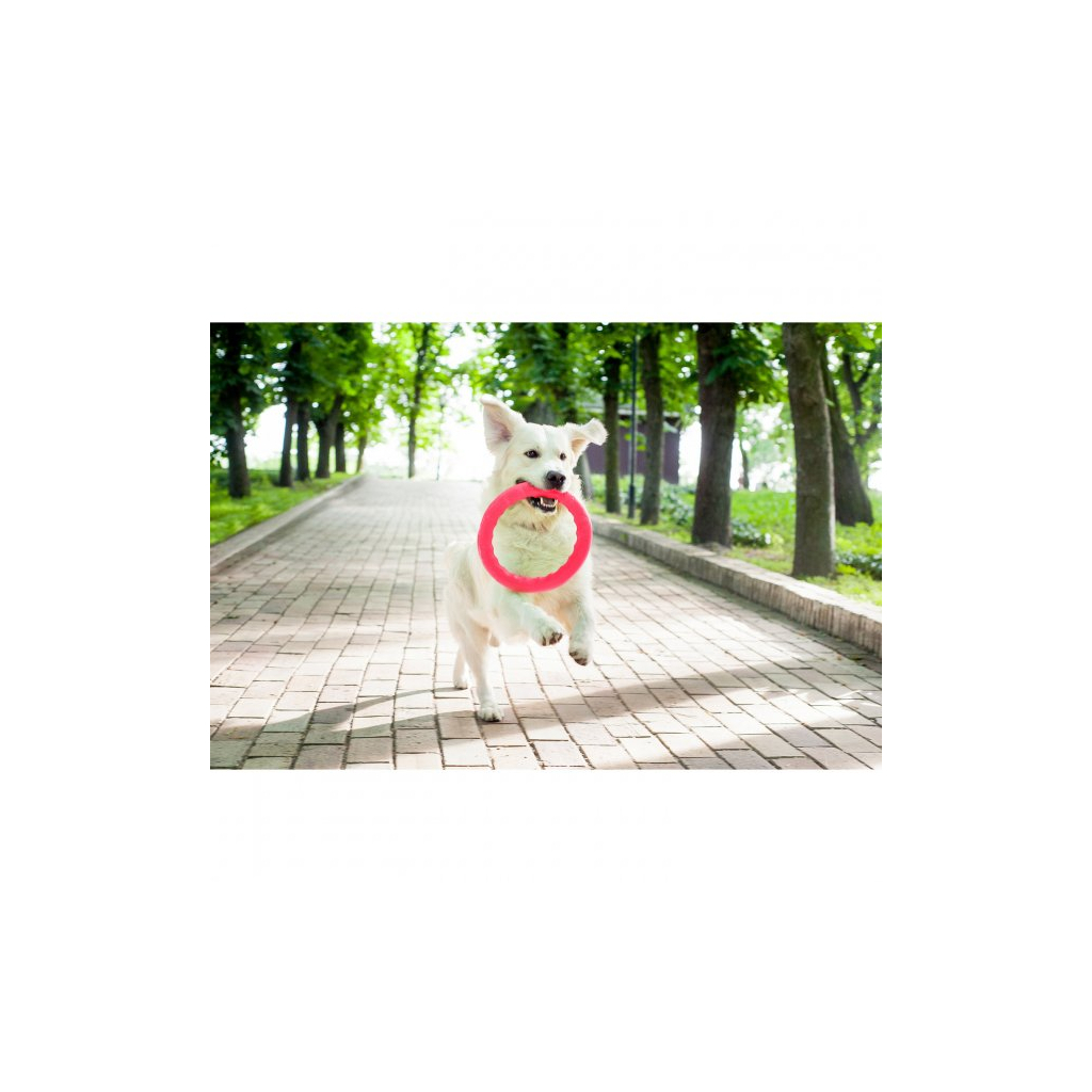 Іграшка для собак Collar PitchDog Кільце для апортування 17 см рожеве (62367)