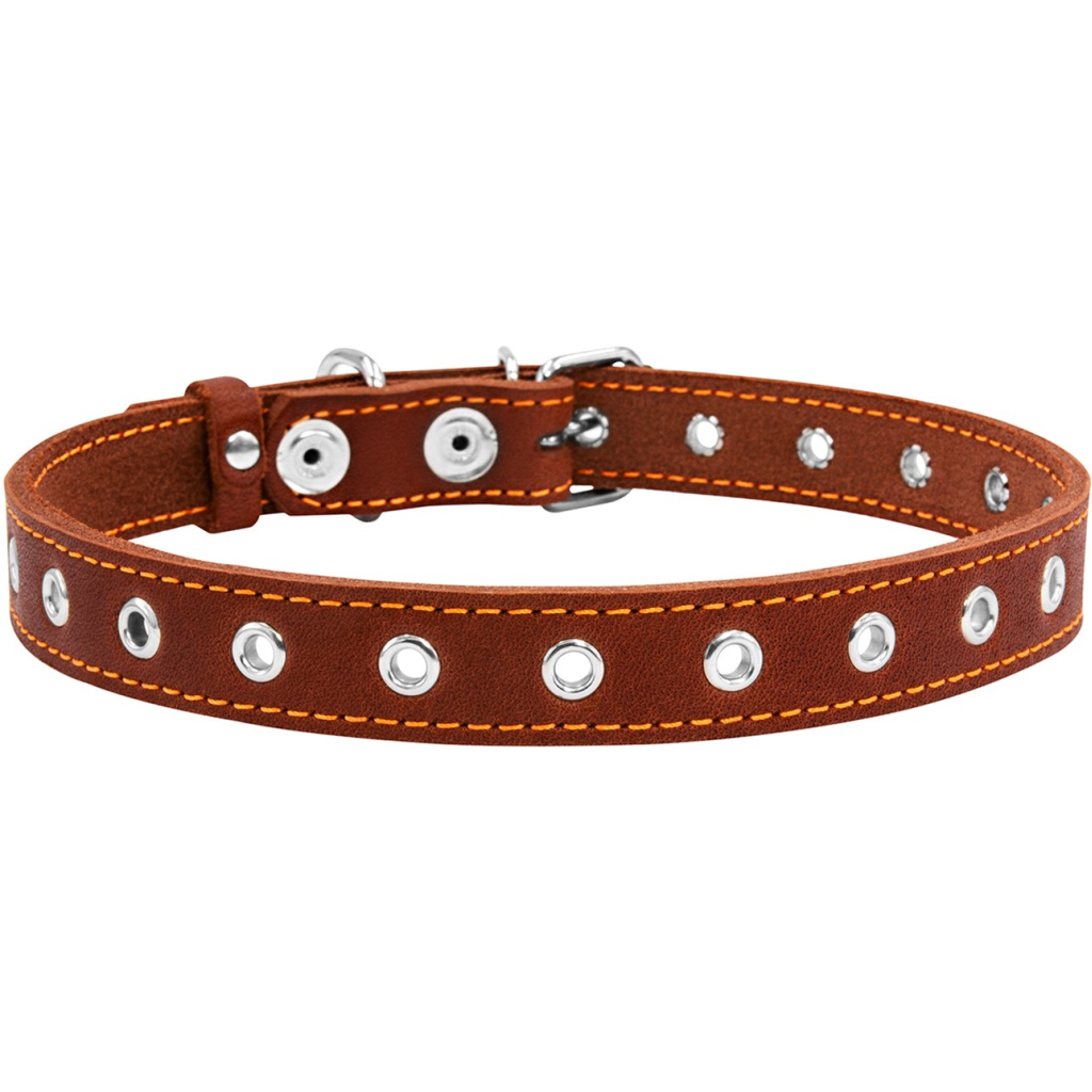 Нашийник для тварин Collar безрозмірний 20 мм 50 см (коричневий) (01516)
