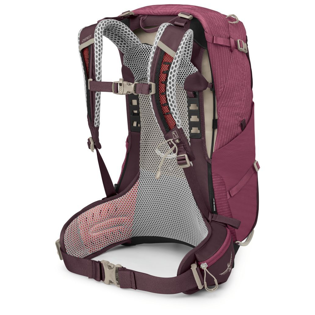 Рюкзак туристичний Osprey Sirrus 24 elderberry purple/chiru tan O/S (009.3593)