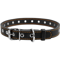 Collar for animals Collar dimensionless 20 mm 50 cm (black) (01511)