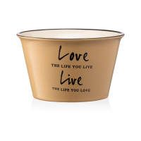 Бульйонниця Ardesto Way of Life 550 мл Beige (AR3479OL)