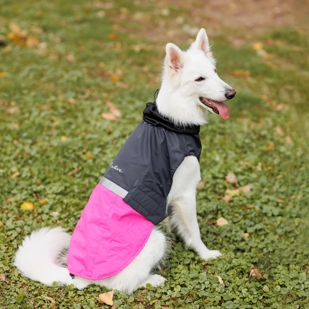 Попона для тварин Pet Fashion ROY XL малиново-сіра (4823082432929)