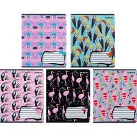 Notebook Kite BBH 18 sheets, cell (K24-236-1)