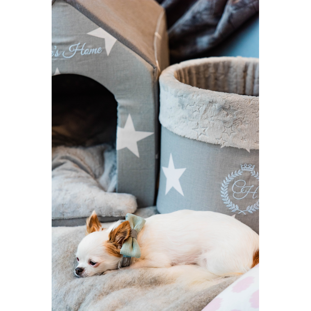 Нашийник для тварин Chloe's Home Royal чорний S (CLH1851)