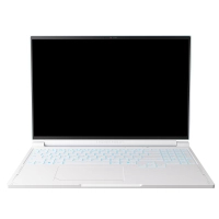 Ноутбук Thunderobot RS16 (RS16-R9985HX57E1Q240ARC)