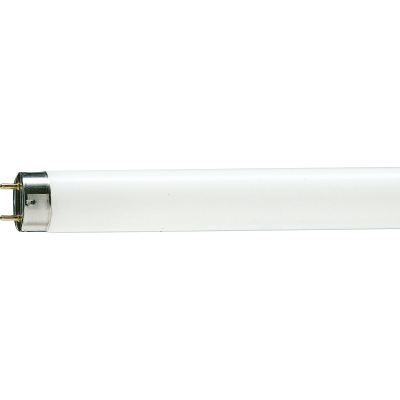 Bulb Philips TL-D G13 600mm 18W/54-765 1SL/25 (928047305451)