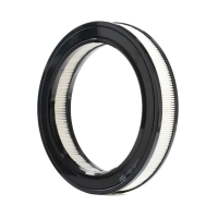 Champion car air filter CAF100103R
