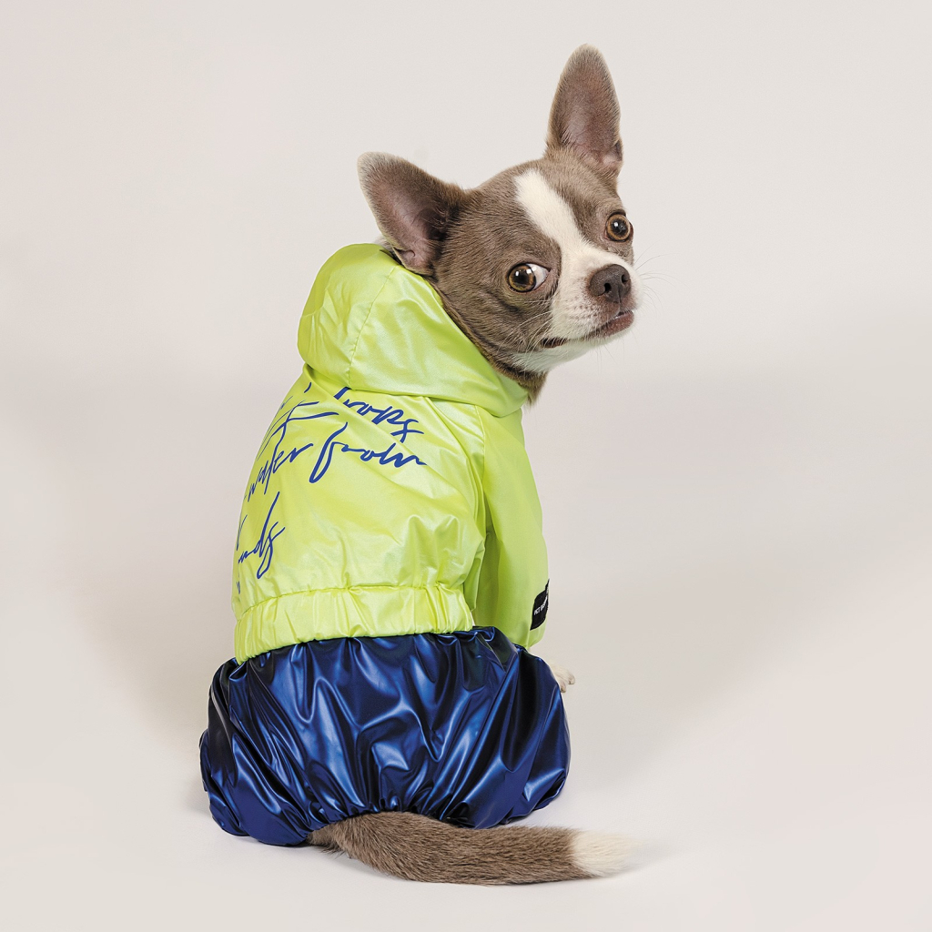 Дощовик для тварин Pet Fashion "PULSE" XS (синій із зеленим) (4823082422821)