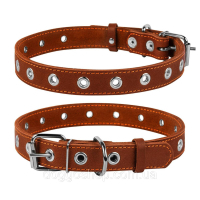 Collar for animals Collar dimensionless 25 mm 60 cm (brown) (02446)