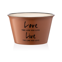 Бульйонниця Ardesto Way of Life 550 мл Brown (AR3479BR)