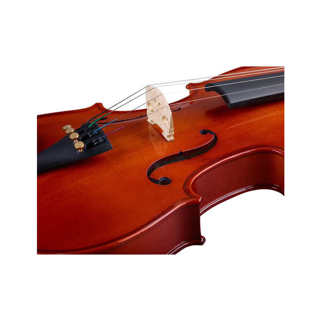 Скрипка Stentor Student Standard 3/4 (1018C)