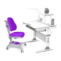 Парта з кріслом Evo-kids Evo-30 G + Y-110 KS