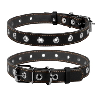 Collar for animals Collar dimensionless 25 mm 60 cm (black) (02441)