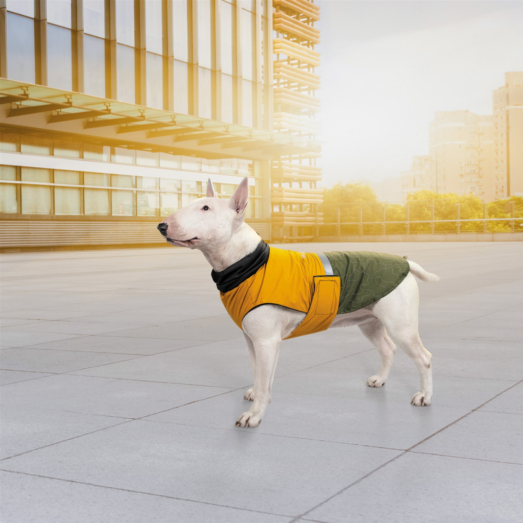 Попона для тварин Pet Fashion ROY 2XL хакі-гірчиця (4823082432844)