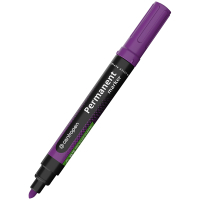 Marker Centropen Permanent 8566 2.5 mm round purple (8566/08)