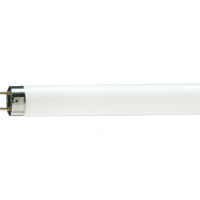 Bulb Philips TL-D G13 1200mm 36W/33-640 1SL/25 (928048503351)