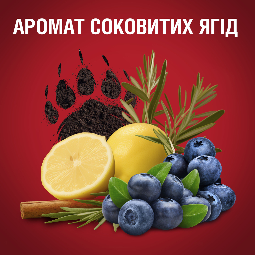 Гель для душу Old Spice Bearglove 250 мл (4084500979437)