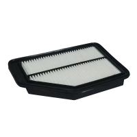 Champion CAF100925P car air filter
