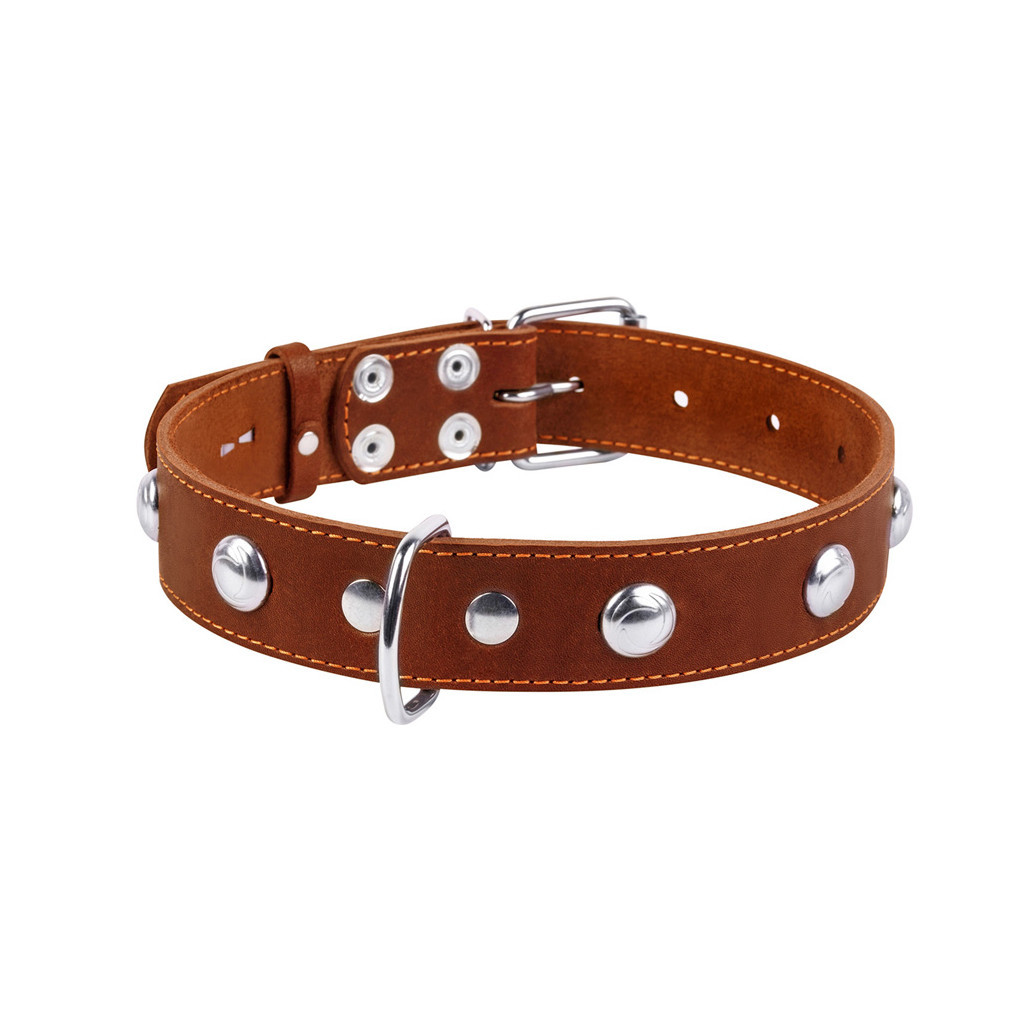 Нашийник для тварин Collar одинарний з прикрасами Ш 35 мм Д 48-63 см коричневий (02716)