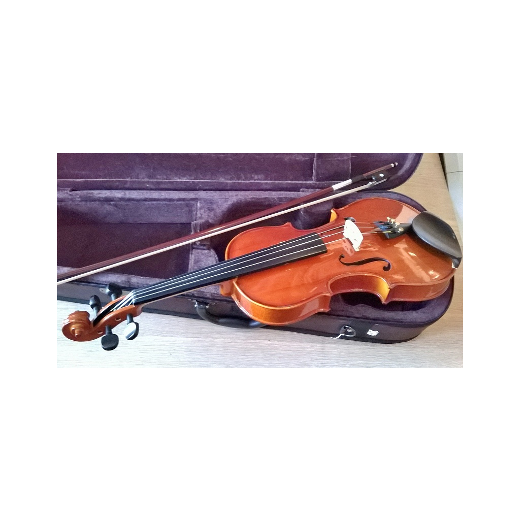 Скрипка Stentor Student Standard 1/8 (1018G)