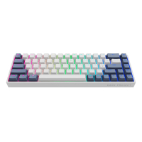 Клавіатура Dark Project One KD68B PBT Mechanical G3ms Sapphire Black/White (DP-KD-68B-104700-GMT)