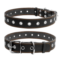 Collar for animals Sizeless 35 mm 69 cm (black) (02951)