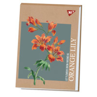 Drawing album Yes A4 40 sheets glued white "Lily" kraft (130584)